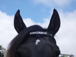 Personalised Browband with Diamante Letters